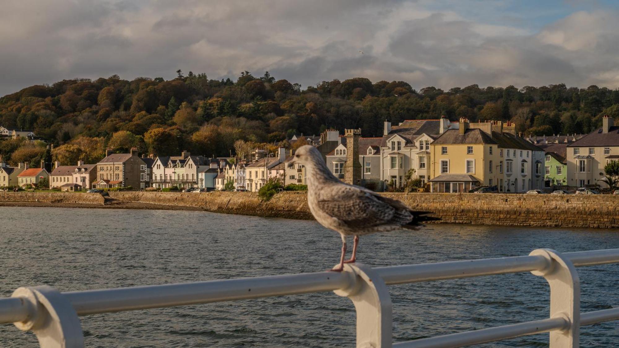 Castle Court Hotel Beaumaris Exterior foto